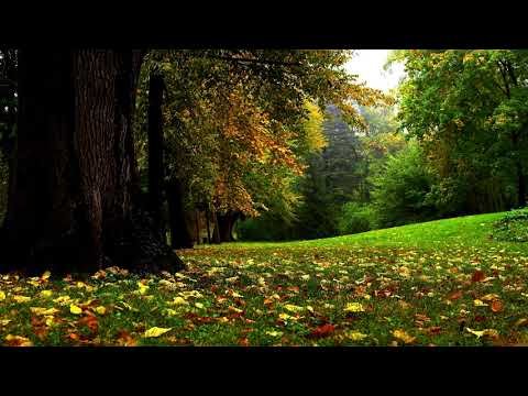 download lagu mp3 mp4 Royalty Free Soundscapes, download lagu Royalty Free Soundscapes gratis, unduh video klip Royalty Free Soundscapes