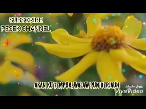 Menelusuri rindu"awis spin