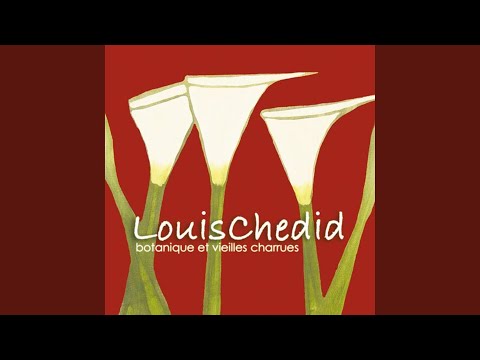 Anne ma soeur Anne (Live au Circle Royal Bruxelles 2003)