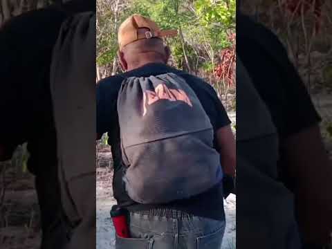 DETECTORISMO NO CANTO DOS CUPINS MONSENHOR GIL PIAUI