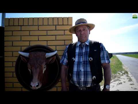 Od pola i zagrody do stołu czyli dziedzictwo wielkopolski - Gospodarstwo Agroturystyczne Kąkolewo