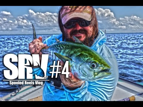 Fly fishing for Bonito - Spooled Reels Vlog - SRV #4