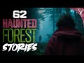 62 REAL Haunted Forest Stories COMPILATION