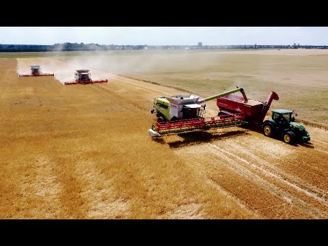 Ernte 2022 / 3 x Claas Lexion Neue Generation / Annaburger ULW / Drohne / Part 1