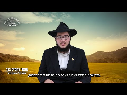 מבט לשבת פ' ראה של הת' מרשל"צ