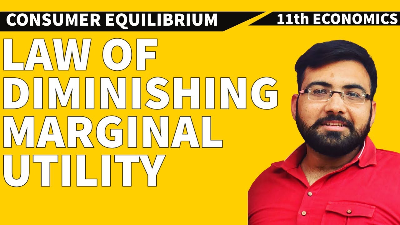 Law of Diminishing Marginal Utility (DMU) | Class 11 | Consumer Behaviour | Micro Economics | Term 1