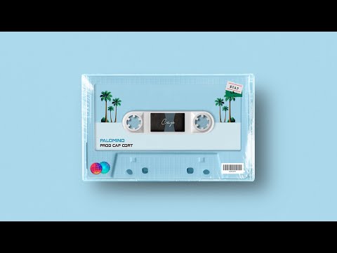 FUNK POP TYPE BEAT x Chill Disco Funky Instrumental Beat | Palomino