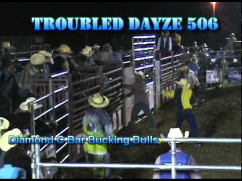 Diamond C Bar Bucking Bulls 506 Troubled Dayze