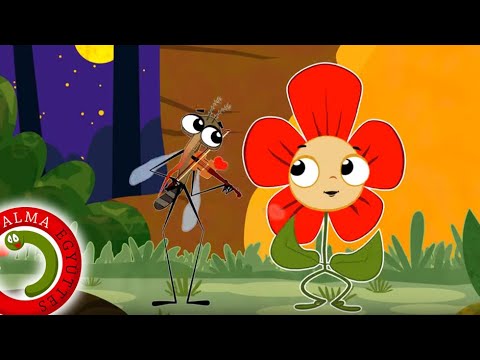 Alma Együttes: Szúnyogszerenád