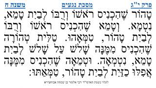 מסכת נגעים פרק י"ג משנה ח