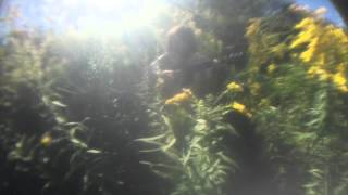 mothers - fat chance (a field recording)