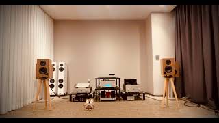 Dark Eyed Molly | Eva Cassidy (입실론 인티앰프와 오델 5/8 북쉘프 들어보는 LP 사운드)