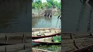 Download lagu sungai Musi , tembang batang hari 9 #tembangbatanghari9 #tembang #muba #sumsel #shorts mp3 Download lagu sungai Musi , tembang batang hari 9 #tembangbatanghari9 #tembang #muba #sumsel #shorts mp3