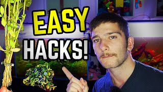4 Aquarium Plant HACKS That Feel Like Cheating! (Save Time & Money)