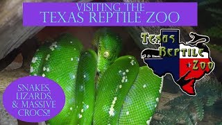 Visiting The Texas Reptile Zoo | Bastrop, TX