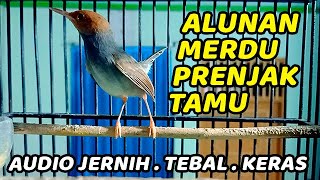 Download lagu 1 JAM MASTERAN PRENJAK TAMU GACOR DOR DURASI PANJANG TERPOPULER 2025 mp3