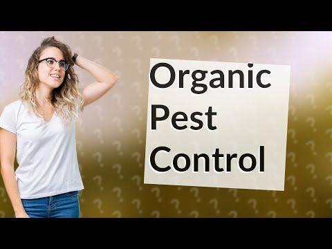 How Can I Effectively Use Neem Oil and BT as Organic Pesticides?