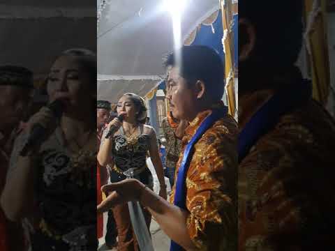 ojo cidro sakit rindu