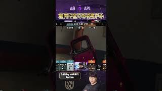 筋肉は全てを凌駕する。AnitunのマッスルAIM #シージ