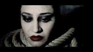 Shahin najafi official video palange zakhmi hd