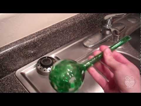 YouTube video about: How long do watering bulbs last?