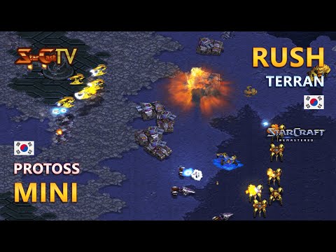 STARCRAFT: MINI VS RUSH