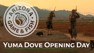 Yuma Dove Opening Day