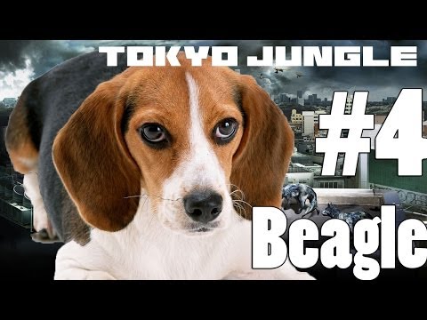 Tokyo Jungle - Beagle Survive over 100 years Part 4 of 4 (feat black panther boss)