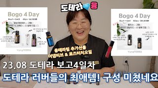 [도테라융] 도테라러버들이 제일 좋아하는 미친 A구성! 가격부담을 확 낮춘 B구성!(23.08 도테라 보고 4일차)