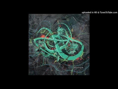 Fractal Error - Fagus Pendula