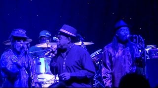 The Mighty Diamonds "Party Time" LIVE @ Wild Hare Chicago 12/18/2014