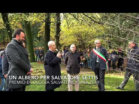 Un albero per Salvatore Settis