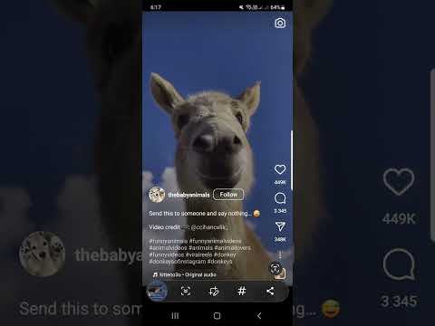 how to copy all hashtags on instagram videos very easy on android #tutorial #instagramhashtags