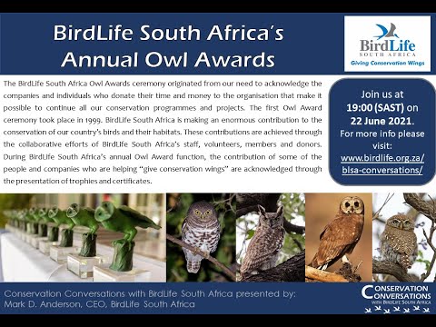 Conservation Conversations: BirdLife South Africa Owl Awards (22Jun21)