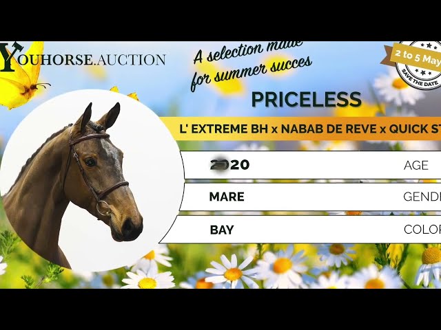 Priceless showvideo
