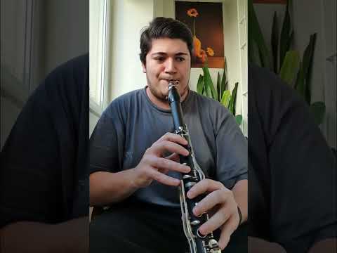 Berke Altıparmak - Klarnet Taksimi