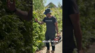 Heb jij ook een hoge heg? #stratenmaker #tuinhuis #tuinaanleg #snoeien