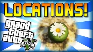 GTA 5 - Peyote All Locations Guide (Part 1) - Become an Animal! - First 3 Locations