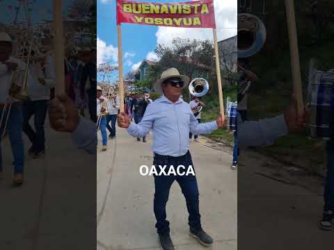 Así de bonito es la Calenda de la fiesta de San Pablo Tijaltepec, Oaxaca #fyp #viral #mixteca