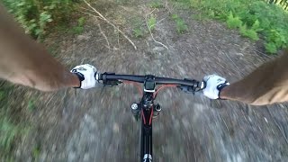 z kamerą wśród zwierząt