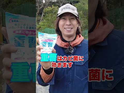 重曹で植物に水をやることができますか?その理由は何ですか?使い方の5つの工夫！  庭園