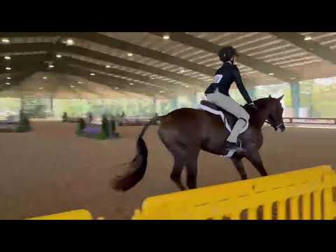 Acorn video 2