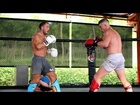 Technical Kickboxing Sparring