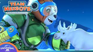 Are you a Mek or a Moose & Other Adventures | TEAM MEKBOTS ANIMAL RESCUE