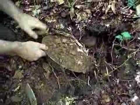 comment participer a des fouilles archeologiques