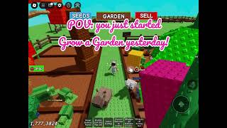 My garden in Grow a Garden #roblox !! ✨☀️🌻🌴🌱🥭🐰🫐🍓🌌⭐️