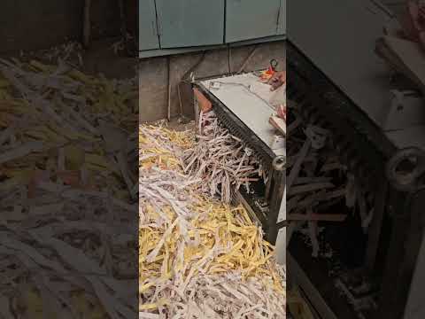 Paper Shredding Services