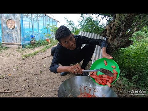 EP665-P2 - Paghahanda ng Taniman ng Palay | Occ. Mindoro