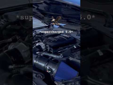 EcoBoost Exhaust for 5.0?!