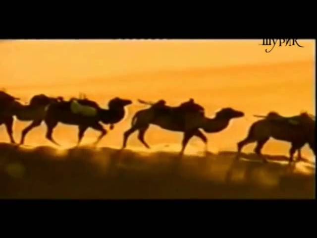 жизнь в караване. слушать песню караван идет собаки. бумер шансон караван. слушать песню караван идет собаки. бумер караван avi.